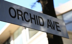 5 Secrets of Orchid Avenue