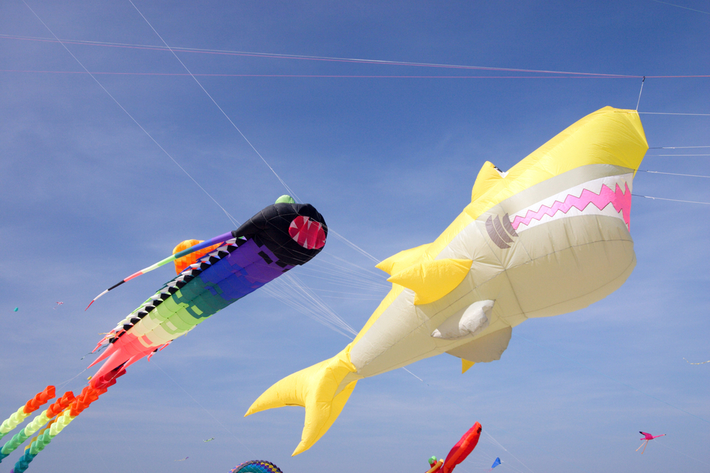 Gold Coast International Festival of Kites