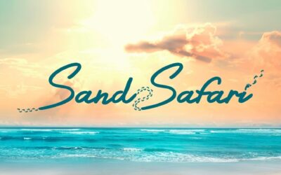 Don’t Miss Sand Safari Arts Festival Surfers Paradise Near St Tropez