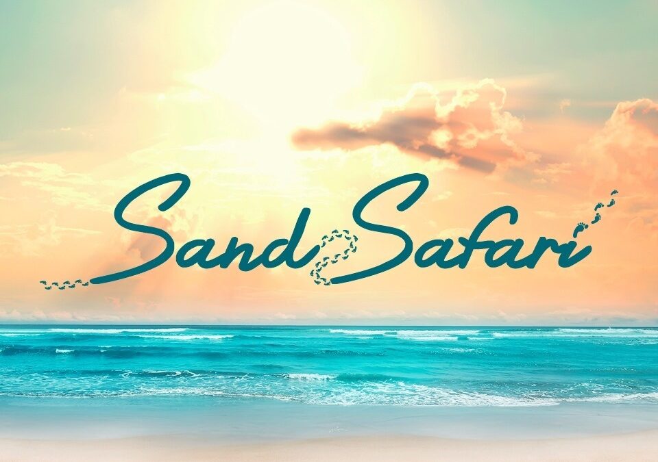 Don’t Miss Sand Safari Arts Festival Surfers Paradise Near St Tropez